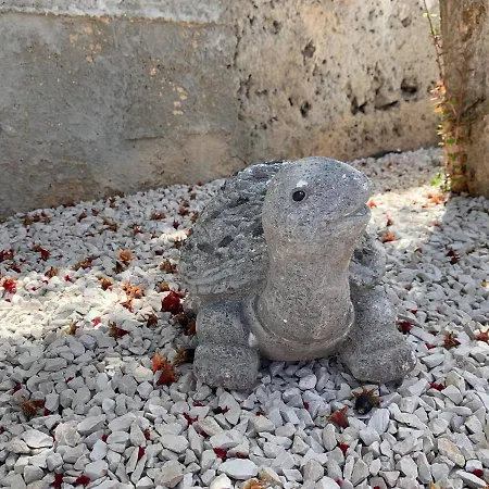 Apartment Vita 公寓 *