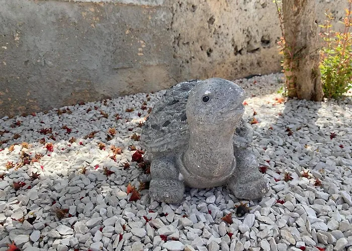 Apartment Vita 公寓 *